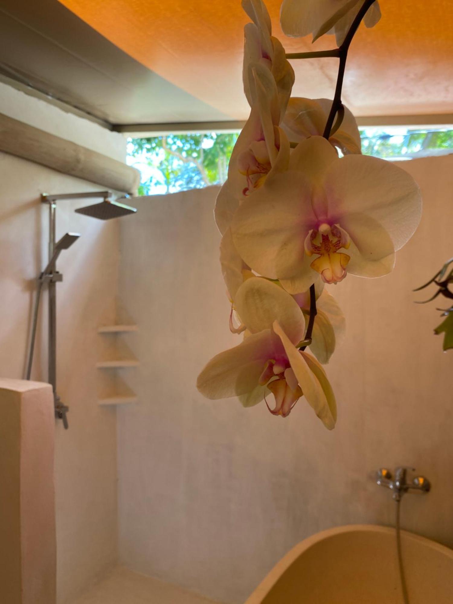 Exotic Private Glamping Hotel Toyapakeh ภายนอก รูปภาพ
